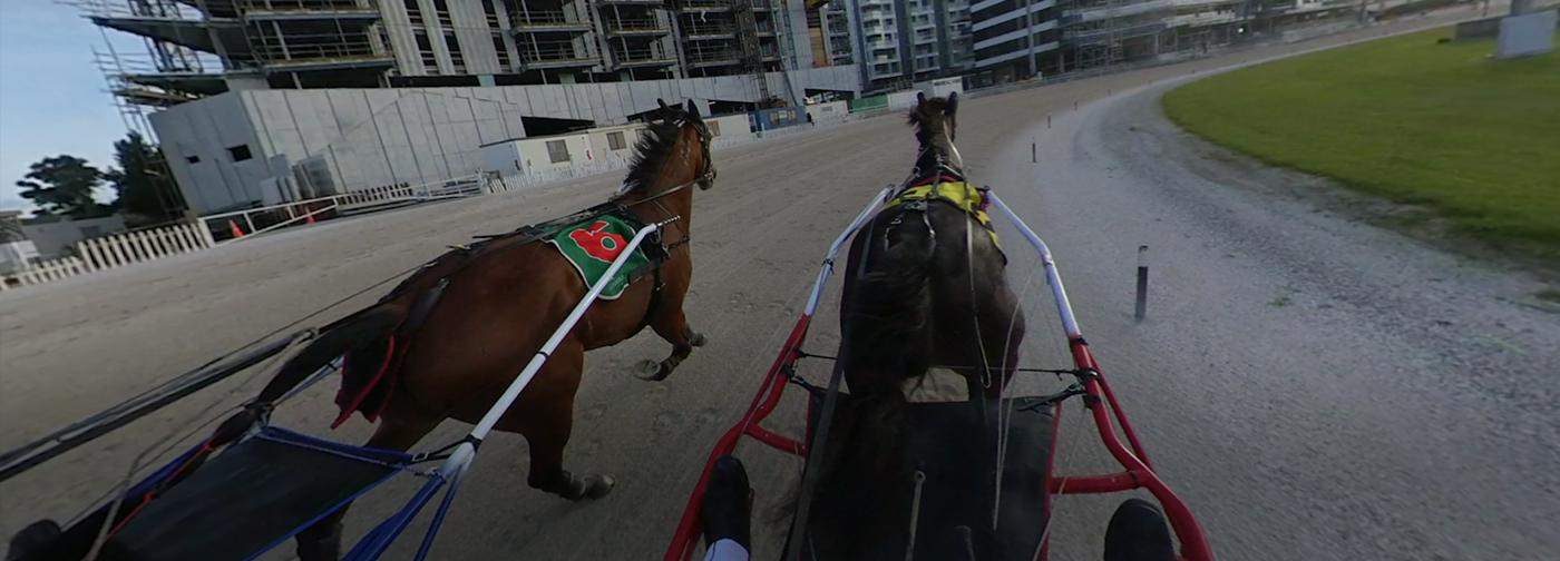 FRIDAY NIGHT RACES
